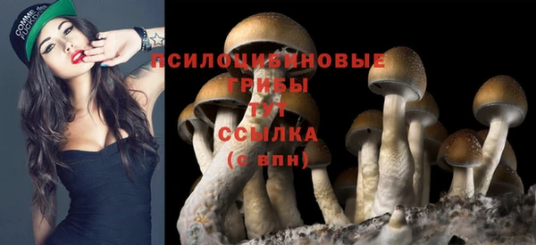 a pvp Богородицк