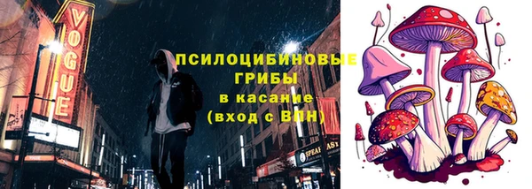 спайс Богородск