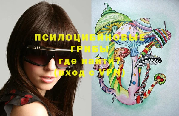спайс Богородск