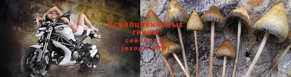 a pvp Богородицк